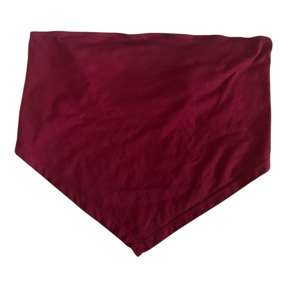 Forever 21 Burgundy and Gray Bandeau Set - Picture 5 of 5